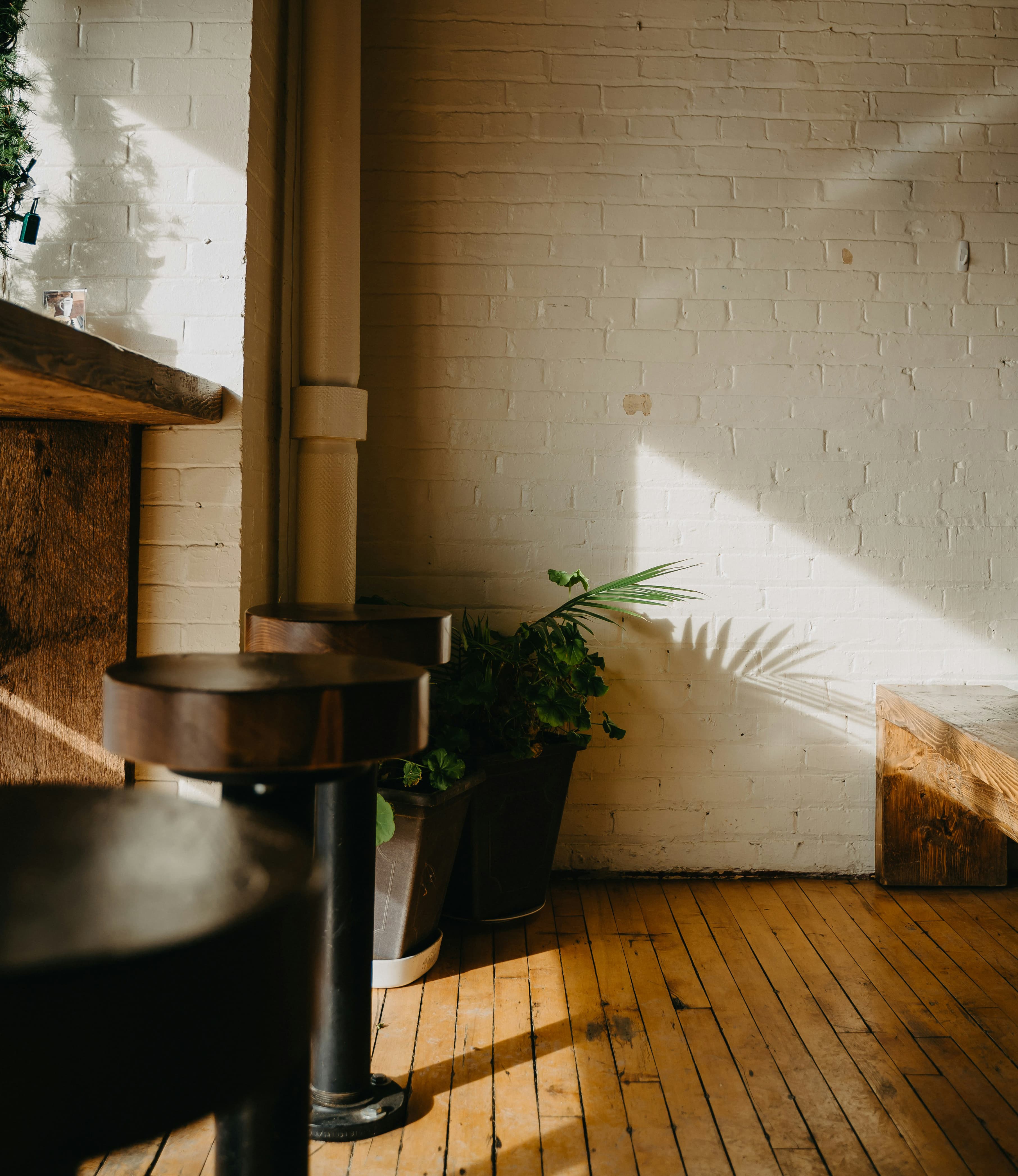 Sunlit commercial interior with reclaimed wood and exposed brick